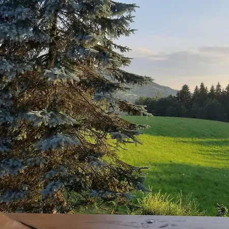 Ferienwohnung Wald Und Wiese Doren