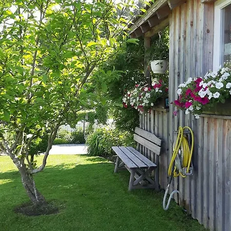 Ferienwohnung Wald Und Wiese *